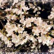 ヒメ日記 2026/03/29 22:22 投稿 もえか ドMバスターズ 京都店