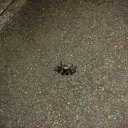 ヒメ日記 2025/10/06 21:50 投稿 ゆかり☆✖1 やん姫SP