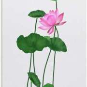 ヒメ日記 2024/12/29 12:32 投稿 ふわり⭐✖1 やん姫SP