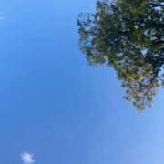 ヒメ日記 2025/01/04 10:44 投稿 ふわり⭐✖1 やん姫SP