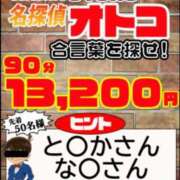 ヒメ日記 2024/02/08 19:11 投稿 しのぶ 鶯谷デリヘル倶楽部