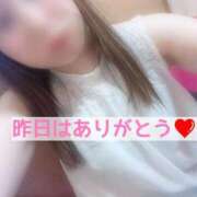 ヒメ日記 2025/08/26 12:52 投稿 しのぶ 鶯谷デリヘル倶楽部