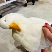 ヒメ日記 2025/02/04 16:54 投稿 まなみ 夜這専門発情する奥様たち 難波店