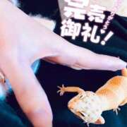 ヒメ日記 2025/02/18 14:05 投稿 まなみ 夜這専門発情する奥様たち 難波店