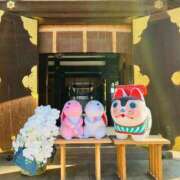 ヒメ日記 2025/03/10 14:14 投稿 まなみ 夜這専門発情する奥様たち 難波店