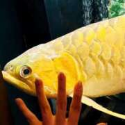 ヒメ日記 2025/03/11 21:34 投稿 まなみ 夜這専門発情する奥様たち 難波店