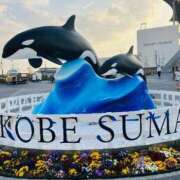 ヒメ日記 2025/04/07 14:44 投稿 まなみ 夜這専門発情する奥様たち 難波店