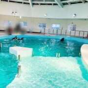 ヒメ日記 2025/04/14 00:08 投稿 まなみ 夜這専門発情する奥様たち 難波店