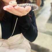 ヒメ日記 2025/06/02 00:14 投稿 まなみ 夜這専門発情する奥様たち 難波店