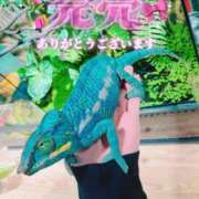 ヒメ日記 2025/06/15 11:24 投稿 まなみ 夜這専門発情する奥様たち 難波店