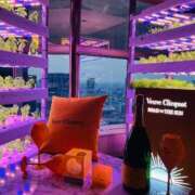 ヒメ日記 2025/08/24 23:34 投稿 まなみ 夜這専門発情する奥様たち 難波店