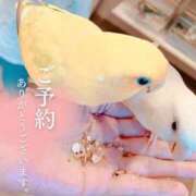 ヒメ日記 2025/09/02 23:54 投稿 まなみ 夜這専門発情する奥様たち 難波店