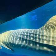 ヒメ日記 2025/09/12 15:04 投稿 まなみ 夜這専門発情する奥様たち 難波店