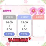 ヒメ日記 2025/03/28 08:45 投稿 橘【人妻コース】 CLUB CANDY（鳥栖店）