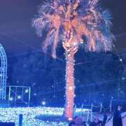 ヒメ日記 2025/12/23 10:47 投稿 めい 丸妻 町田店