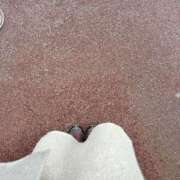 ヒメ日記 2025/03/30 12:06 投稿 みなみ 奥様鉄道69 東京店