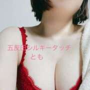 ヒメ日記 2024/12/29 11:01 投稿 とも 乳首愛撫専門店「五反田シルキータッチ」