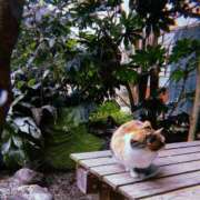 ヒメ日記 2025/03/07 22:04 投稿 とも 乳首愛撫専門店「五反田シルキータッチ」