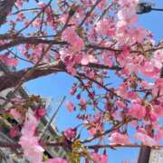 ヒメ日記 2025/03/22 15:53 投稿 とも 乳首愛撫専門店「五反田シルキータッチ」