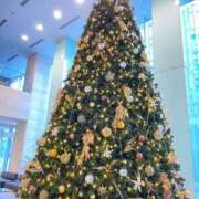 ヒメ日記 2025/11/05 12:07 投稿 とも 乳首愛撫専門店「五反田シルキータッチ」