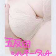 ヒメ日記 2026/01/04 13:53 投稿 とも 乳首愛撫専門店「五反田シルキータッチ」