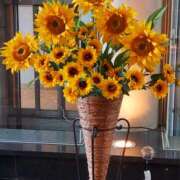 ヒメ日記 2025/07/25 19:23 投稿 ことみ 奥鉄オクテツ東京店（デリヘル市場）