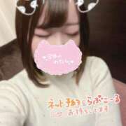 ヒメ日記 2025/03/18 16:11 投稿 かやの 錦糸町ハートショコラ（シンデレラグループ）