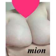 ヒメ日記 2025/05/14 12:36 投稿 中条 BBW（ビッグビューティフルウーマン）