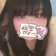 ヒメ日記 2025/04/15 16:01 投稿 みやび 三重四日市ちゃんこ