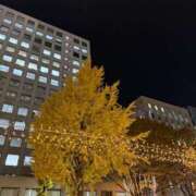 ヒメ日記 2025/01/01 13:05 投稿 YUN/ゆん　centu STYLISH BACH