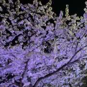 ヒメ日記 2025/03/04 09:02 投稿 YUN/ゆん　centu STYLISH BACH