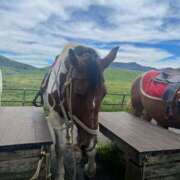 ヒメ日記 2025/04/09 16:52 投稿 YUN/ゆん　centu STYLISH BACH