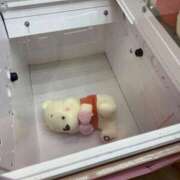 ヒメ日記 2025/04/17 16:12 投稿 YUN/ゆん　centu STYLISH BACH