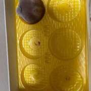 ヒメ日記 2025/05/12 15:02 投稿 YUN/ゆん　centu STYLISH BACH