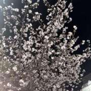 ヒメ日記 2026/03/29 10:22 投稿 YUN/ゆん　centu STYLISH BACH