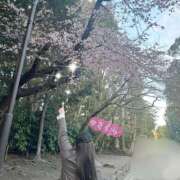 ヒメ日記 2025/06/13 12:37 投稿 桜(さくら) CLUBせがわ