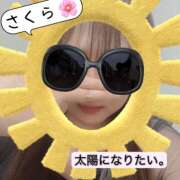 ヒメ日記 2025/06/19 12:11 投稿 桜(さくら) CLUBせがわ