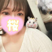 ヒメ日記 2025/07/24 00:19 投稿 桜(さくら) CLUBせがわ