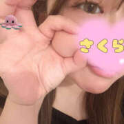 ヒメ日記 2025/08/01 10:11 投稿 桜(さくら) CLUBせがわ