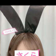 ヒメ日記 2025/09/25 15:14 投稿 桜(さくら) CLUBせがわ