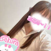 ヒメ日記 2026/03/23 08:51 投稿 桜(さくら) CLUBせがわ