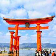 オレンジ　プレイボーイ出勤 12月の出勤日 プレイボーイ　アゲハ