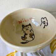 ヒメ日記 2025/12/29 10:17 投稿 オレンジ　プレイボーイ出勤 プレイボーイ　アゲハ