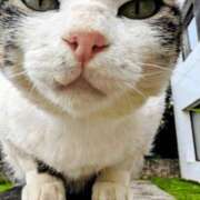 ヒメ日記 2026/02/15 20:15 投稿 オレンジ　プレイボーイ出勤 プレイボーイ　アゲハ