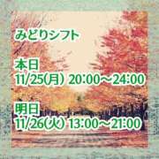 ヒメ日記 2024/11/25 13:51 投稿 みどり フォーシーズン