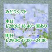 みどり 今日からの予定 フォーシーズン