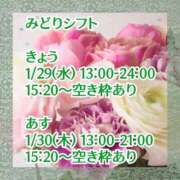 みどり 今日明日と来週予定 フォーシーズン