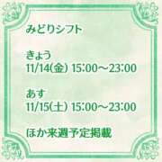 ヒメ日記 2025/11/14 11:28 投稿 みどり フォーシーズン