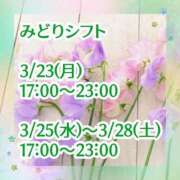 ヒメ日記 2026/03/21 07:38 投稿 みどり フォーシーズン
