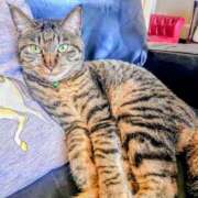 ヒメ日記 2025/01/08 09:47 投稿 優雅オーナー やみつきの館　鶯谷店